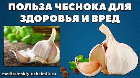 Чеснок и кожа: проблемы и польза