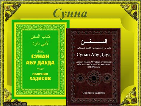 Что говорит Коран и Сунна