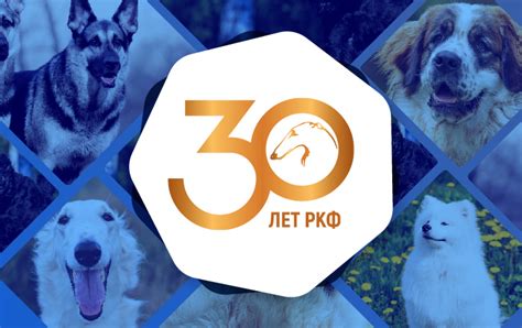Шаг 1: Зайдите на официальный сайт Российской Кинологической Федерации