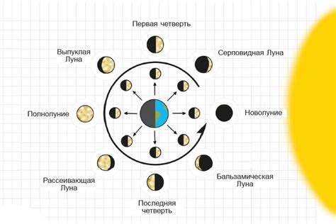 Шанс успеха в зависимости от фазы луны