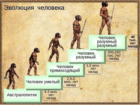 Этапы эволюции погонов