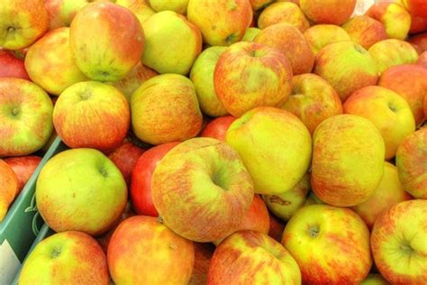 Яблоки: низкокалорийный продукт для похудения