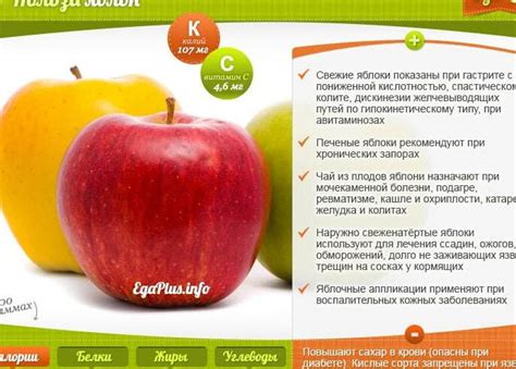 Яблоки: полезные свойства для здоровья и похудения