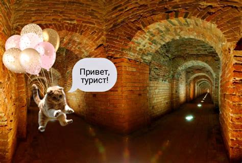  Заброшенные подземелья и секретные проходы 