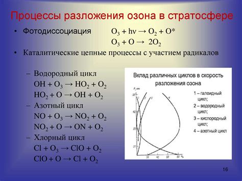  Процессы разложения тела 