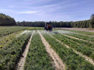 Актуальная информация о продаже и аренде гектара земли в Нижегородской области