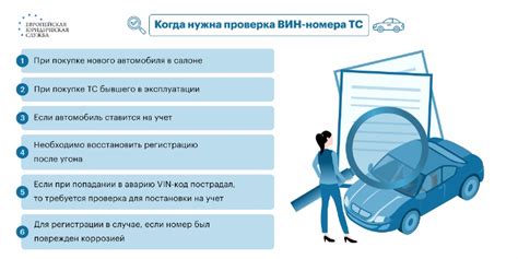 Важность своевременной проведения экспертизы вин номера