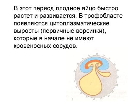 Влияние возраста козла на оплодотворение