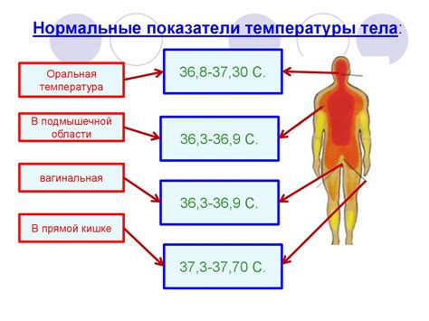 Влияние температуры окружающей среды на срок годности