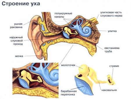 Звон в ушах после стрельбы