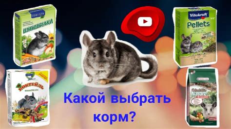 Какой корм выбрать после смекты