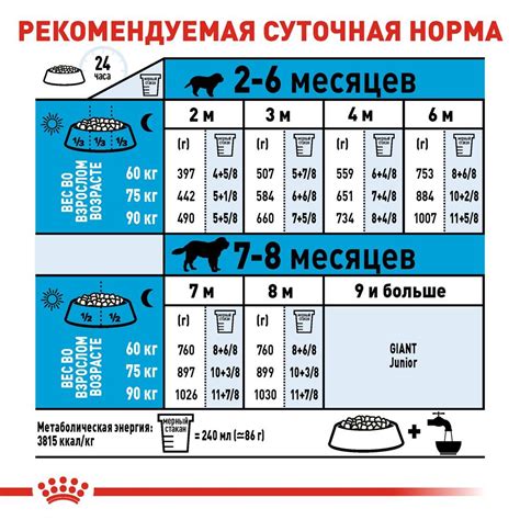 Нормы кормления куриными шейками для собак разных пород и размеров