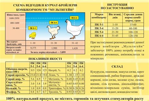 Нормы содержания кур на 6 сотках