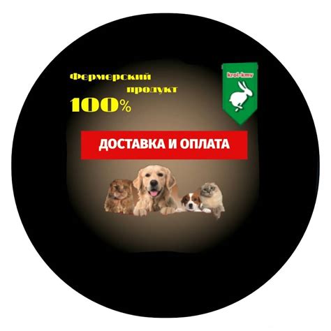 Оплата и стоимость доставки