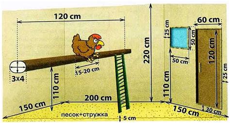 Площадь участка и количество кур