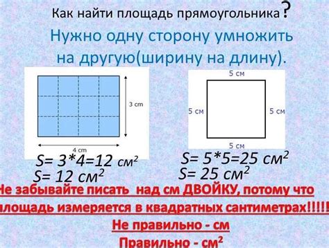 Популярные способы расчета площади
