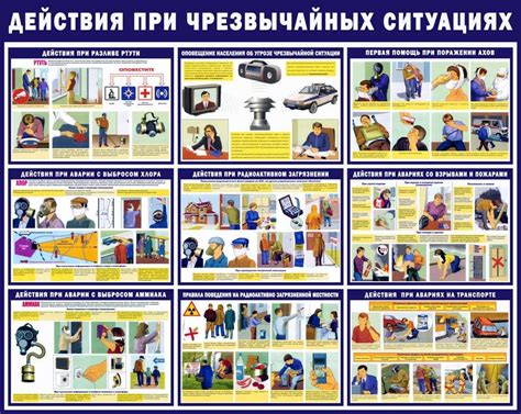 Порядок действий при опрыскивании сорняков раундапом