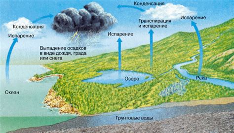 Процесс испарения воды
