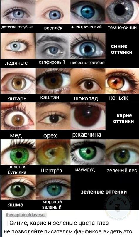Психологическое воздействие зеленых глаз на окружающих