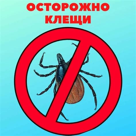 Результаты исследований по выживаемости клещей