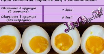 Скорость порчи яйца при комнатной температуре