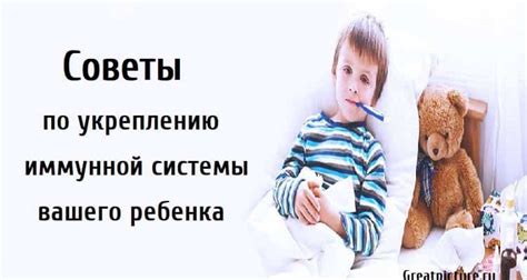 Советы по укреплению нервной системы собаки