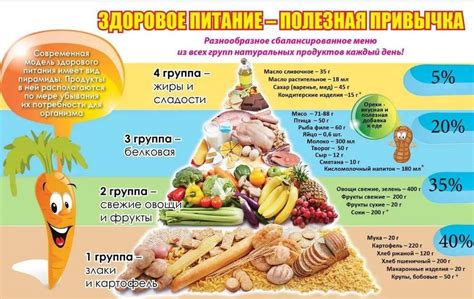 Средний объем пищи в рационе человека