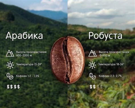 "Символ зерна кофе" - что означает