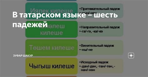 Анализ значения слова "жаным" на татарском