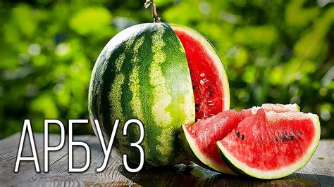 Арбуз как символ лета