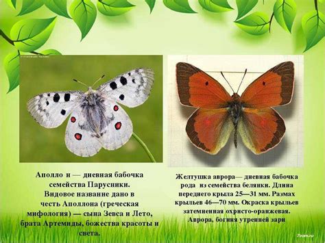 Бабочка в искусстве и дизайне