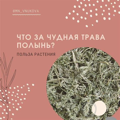 Биологические факторы, влияющие на привлекательность запаха полыни