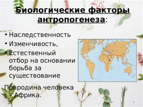 Биологические факторы, вызывающие мурашки по левой щеке