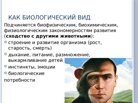 Биологический процесс и рост организма