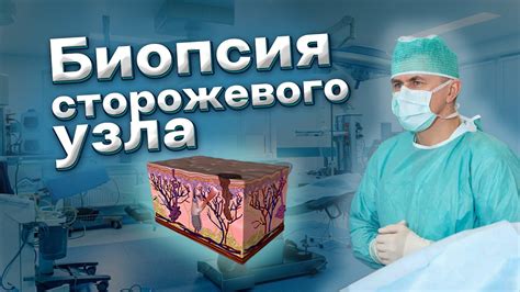 Биопсия: определение и суть процедуры