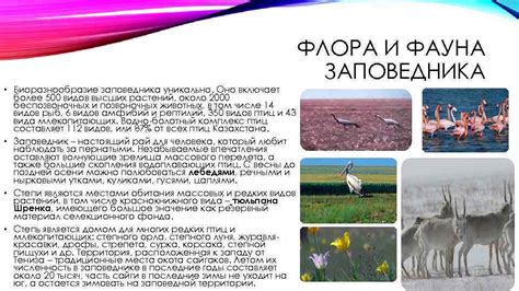 Биоразнообразие в запрудных озерах: флора и фауна