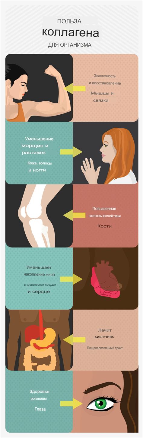Важность безъядерных чешуйок для организма