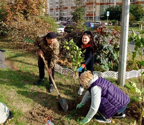 Важность благоустройства