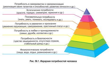 Важность и особенности биологических потребностей в современном обществе