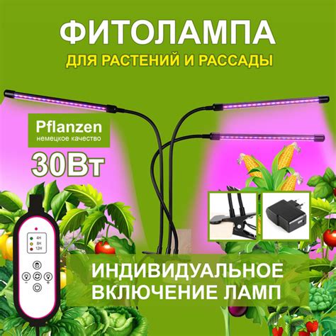 Важность экранирования ламп для растений