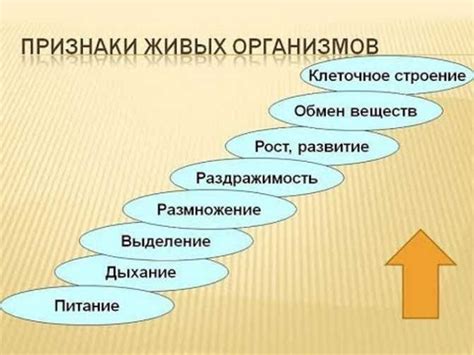 Взаимосвязь с реальным миром