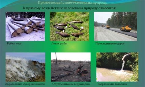 Влияние живой природы на человека:
