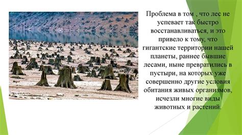 Влияние литосферы на растительный мир