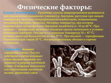 Влияние микроорганизмов на возникновение цистита