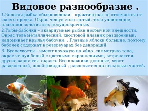 Влияние окраса "ст п" на окрас других частей тела