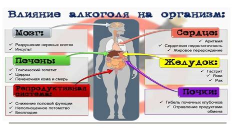 Влияние порушки параня на организм