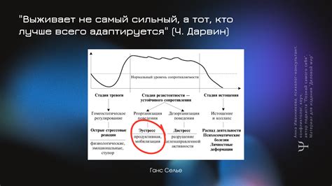 Влияние сравнения задач на продуктивность