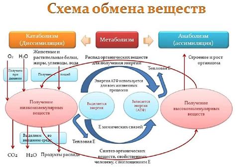 Влияние энергии на процесс и восстановление исходных веществ