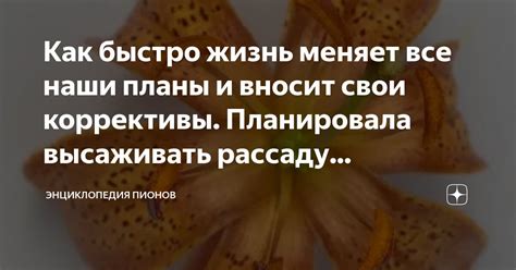 Вносит коррективы