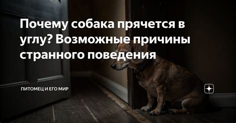Возможные причины данного поведения